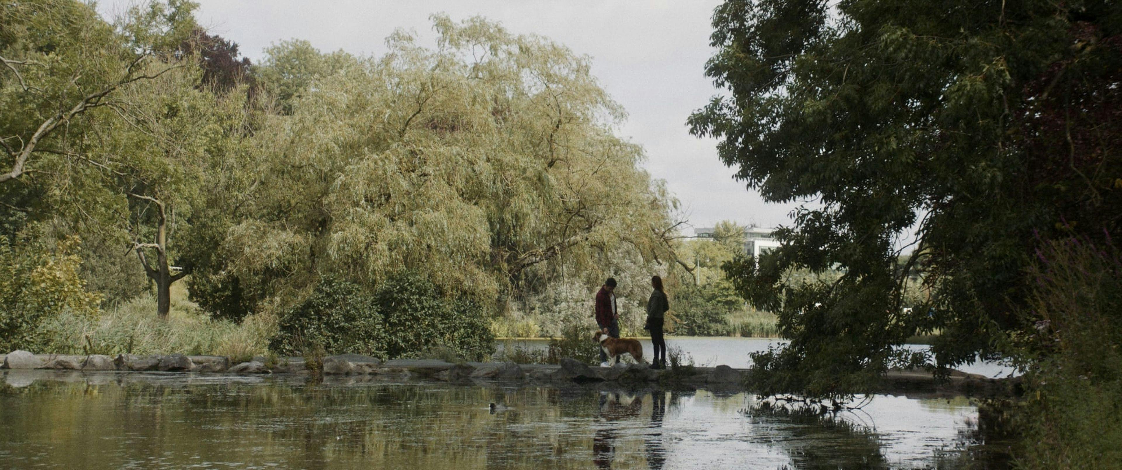 Cover Image for At the Pond